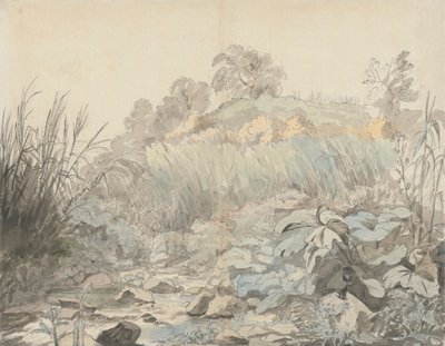 Un ruisseau rocheux - Samuel Woodforde