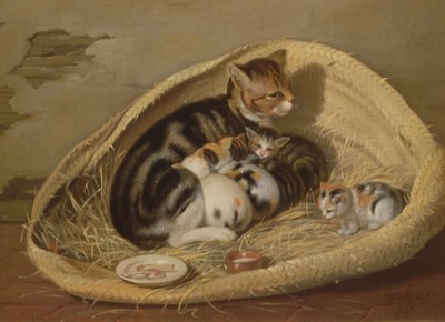 Chat avec ses chatons dans un panier, 1797 - Samuel de Wilde