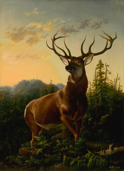 Cerfs dans un paysage forestier, 1876 - Sandor Brodszky