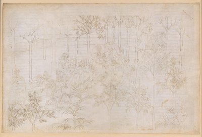 La Divine Comédie, Purgatoire XXXIII. Le Paradis terrestre : Béatrice au sein du cercle des vertus ; le départ ; le bain de Dante dans le fleuve Eunoe - Sandro Botticelli