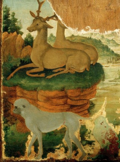 Paysage avec chevreuils et singes - Sandro Botticelli