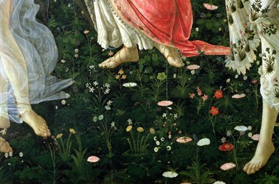 Primavera : détail des fleurs - Sandro Botticelli