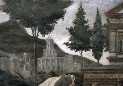 La Purification du lépreux et la Tentation du Christ, dans la Chapelle Sixtine : détail d