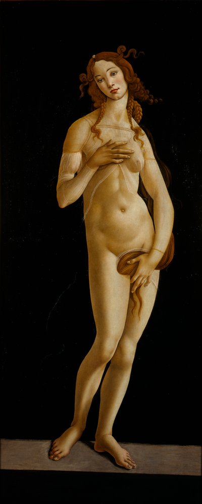 Vénus Pudica, vers 1485-1490 - Sandro Botticelli
