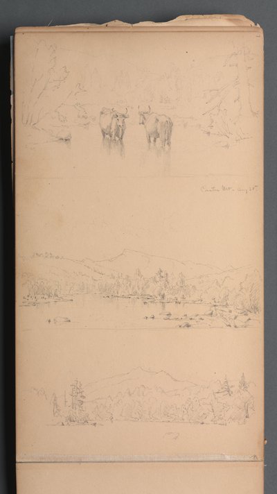 Carnet de croquis, page 07 : "Mont Carter (?) 28 août" - Sanford Robinson Gifford