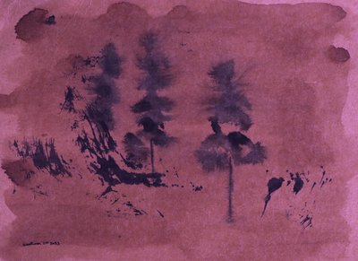 Sombre paysage forestier - Santhosh ch