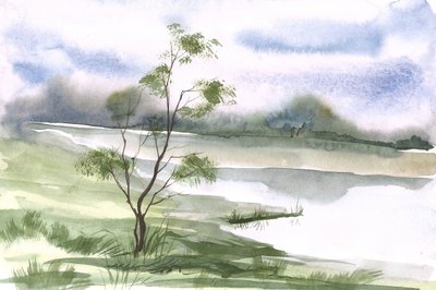 Un arbre au bord d