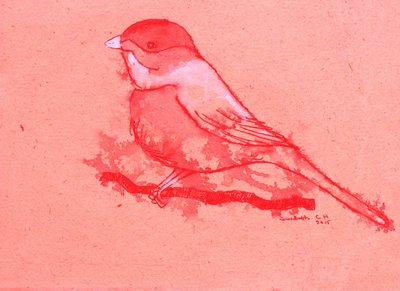 Oiseau rouge sur une branche - Santhosh ch