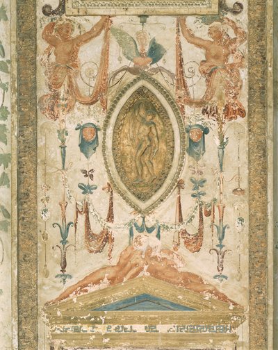 Pilastre avec décoration grotesque - Sanzio of Urbino (workshop) Raphael
