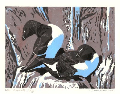 La corniche du pingouin, 2014 (Linogravure) - Sarah Drummond