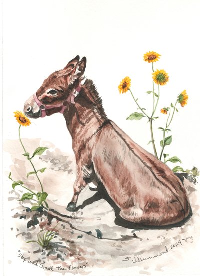 Stop and Smell the Flowers, 2024 (aquarelle sur papier) - Sarah Drummond