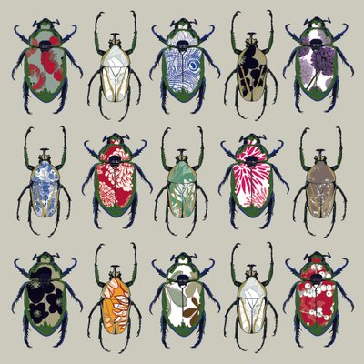 Beetledrive, 2008 - Sarah Hough