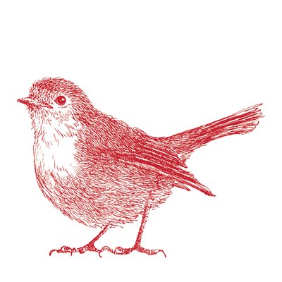 Rouge-gorge - Sarah Hough