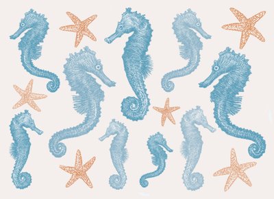 Hippocampes et étoiles de mer - Sarah Hough
