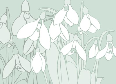 Perce-neige - Sarah Hough