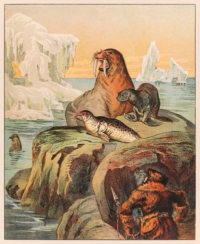 Un Esquimau chassant des phoques et un morse, de la ménagerie de P.T. Barnum publiée en 1888, illustration de Sarah J. Burke. - Sarah J. Burke