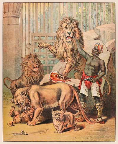 Lions performants avec leur dresseur au cirque Barnum & Bailey de la ménagerie de P.T. Barnum publié en 1888, illustration de Sarah J. Burke - Sarah J. Burke