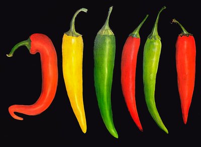 Cinq piments, 2024 (huile sur toile) - Sarah Thompson Engels