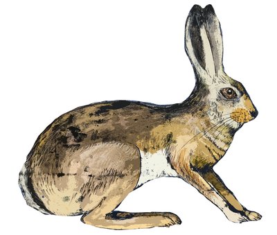 Lièvre, 2024 (monoprint) - Sarah Thompson Engels