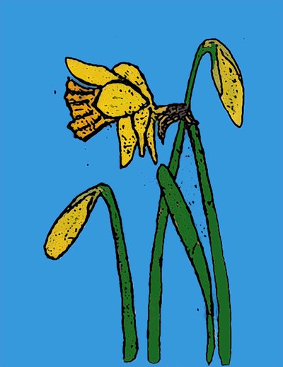 Jonquilles, 2015 - Sarah Thompson Engels