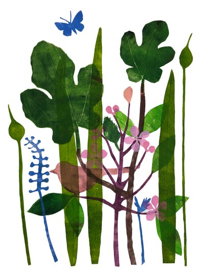 Feuilles de figuier - Sarah Thompson Engels