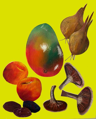 Fruits et légumes - Sarah Thompson Engels