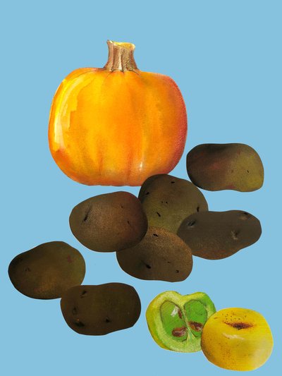 Fruits et légumes - Sarah Thompson Engels