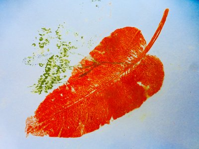 Feuille orange, 2020 - Sarah Thompson Engels