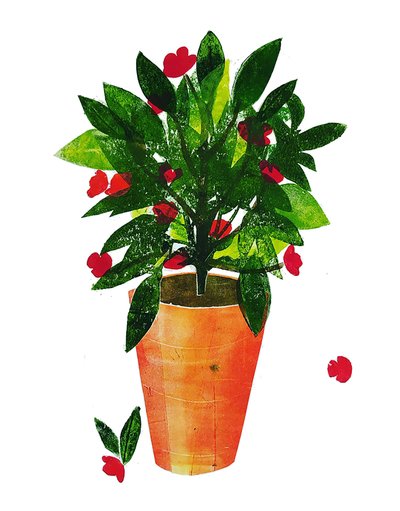 Pot orange - Sarah Thompson Engels