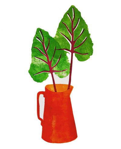 Pichet rouge, 2020 - Sarah Thompson Engels