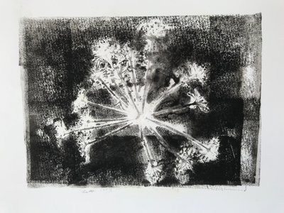 Tête de graine II - Sarah Thompson Engels