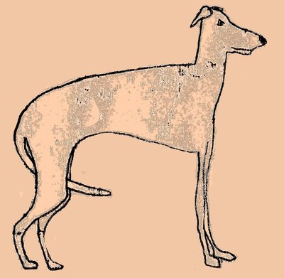 Chien maigre - Sarah Thompson Engels