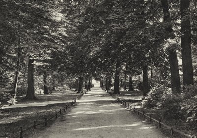 Berlin : Tiergarten - Sasha Stone