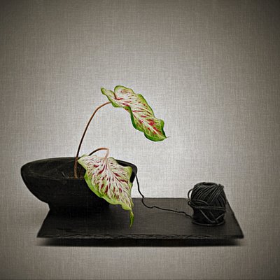  - Saskia Dingemans