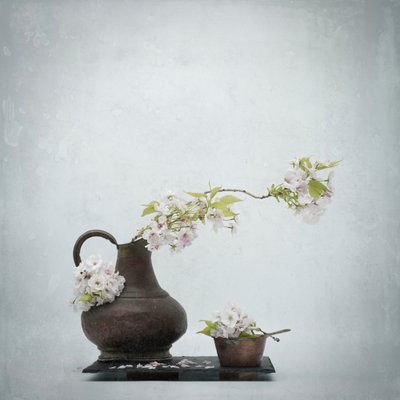  - Saskia Dingemans