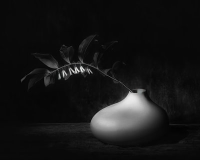  - Saskia Dingemans