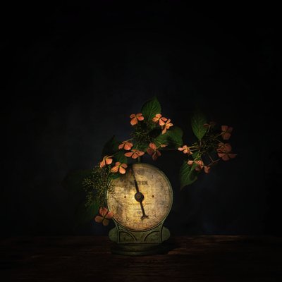 - Saskia Dingemans