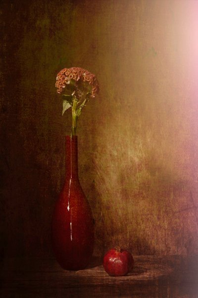  - Saskia Dingemans