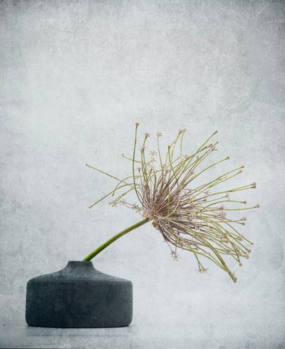  - Saskia Dingemans