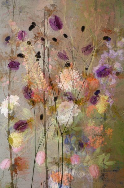  - Saskia Dingemans