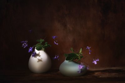  - Saskia Dingemans
