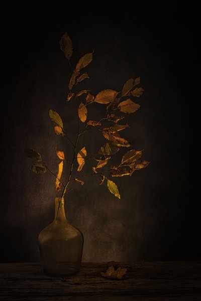  - Saskia Dingemans