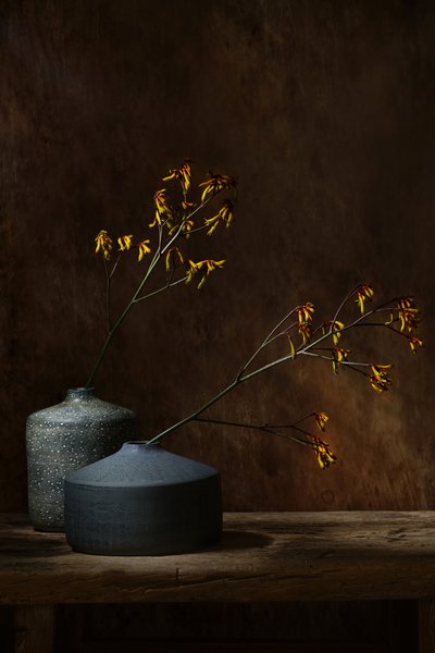  - Saskia Dingemans