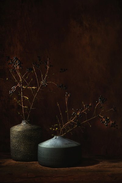  - Saskia Dingemans