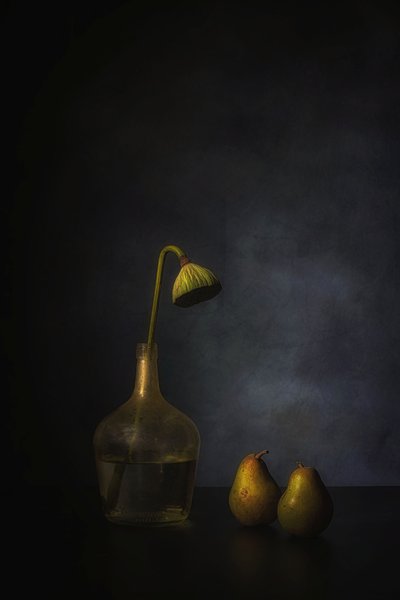  - Saskia Dingemans