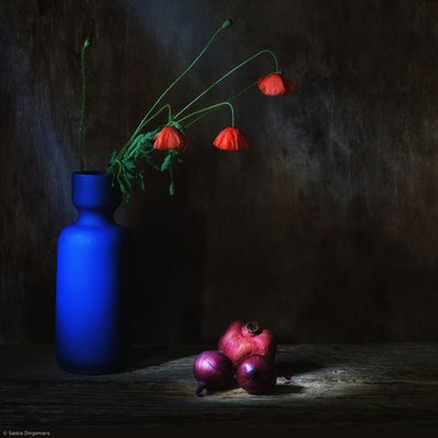  - Saskia Dingemans