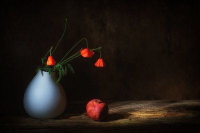  - Saskia Dingemans