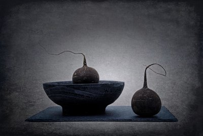  - Saskia Dingemans