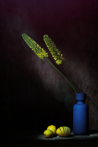  - Saskia Dingemans