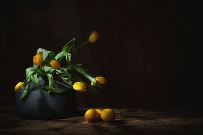  - Saskia Dingemans